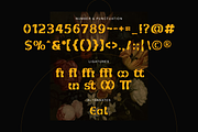 Elanor Retro Display, a Serif Font by Creatype Studio (Thumbnail 9 of 10)