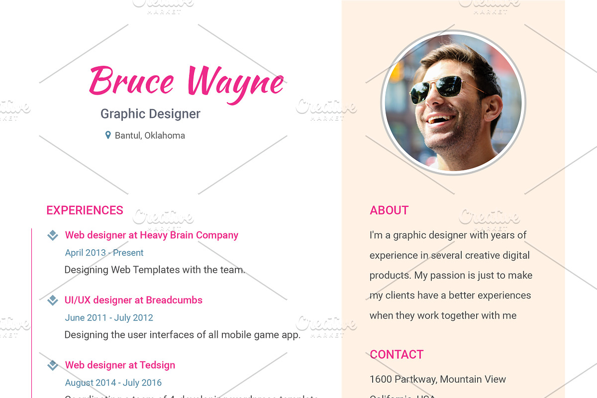 Curriculum Vited - Resume Template, a Resume Template by Ted-sign (Photo 4 of 8)