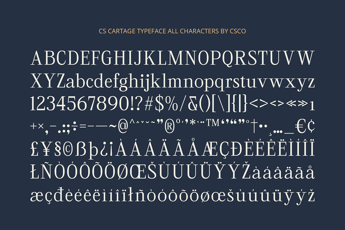CS Cartage – Contemporary Font, a Serif Font by Craft Supply Co. (Photo 8 of 8)