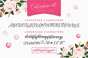 Sale 20% Cattieshine - Font Duo, a Script Font by Anatadesign (Thumbnail 10 of 22)