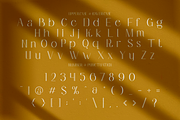 Aureline - Elegant Serif Font, a Font by PutraCetol Studio (Thumbnail 11 of 11)