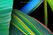 Tropicana — Luxury Seamless Pattern, a Pattern Graphic by Designnina Shop (Thumbnail 10 of 11)
