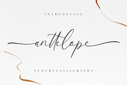 Anttelope Luxury Calligraphy, a Script Font by Creatype Studio (Thumbnail 1 of 9)