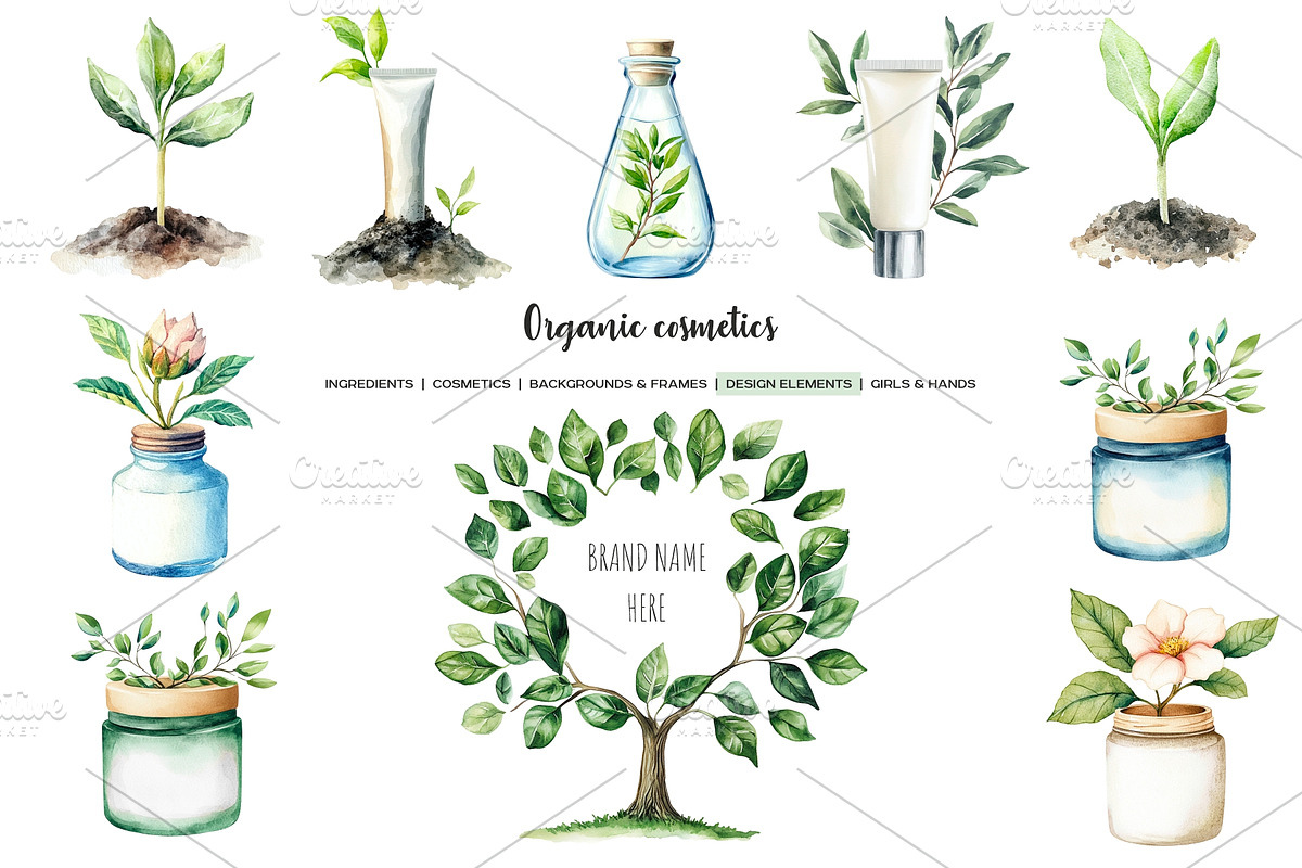 Watercolor organic cosmetic clipart, a Healthcare Illustration by Art and Funny (Photo 6 of 14)