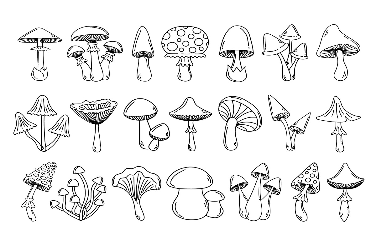 Doodle mushroom set, a Food Illustration by ananastya (Photo 2 of 3)