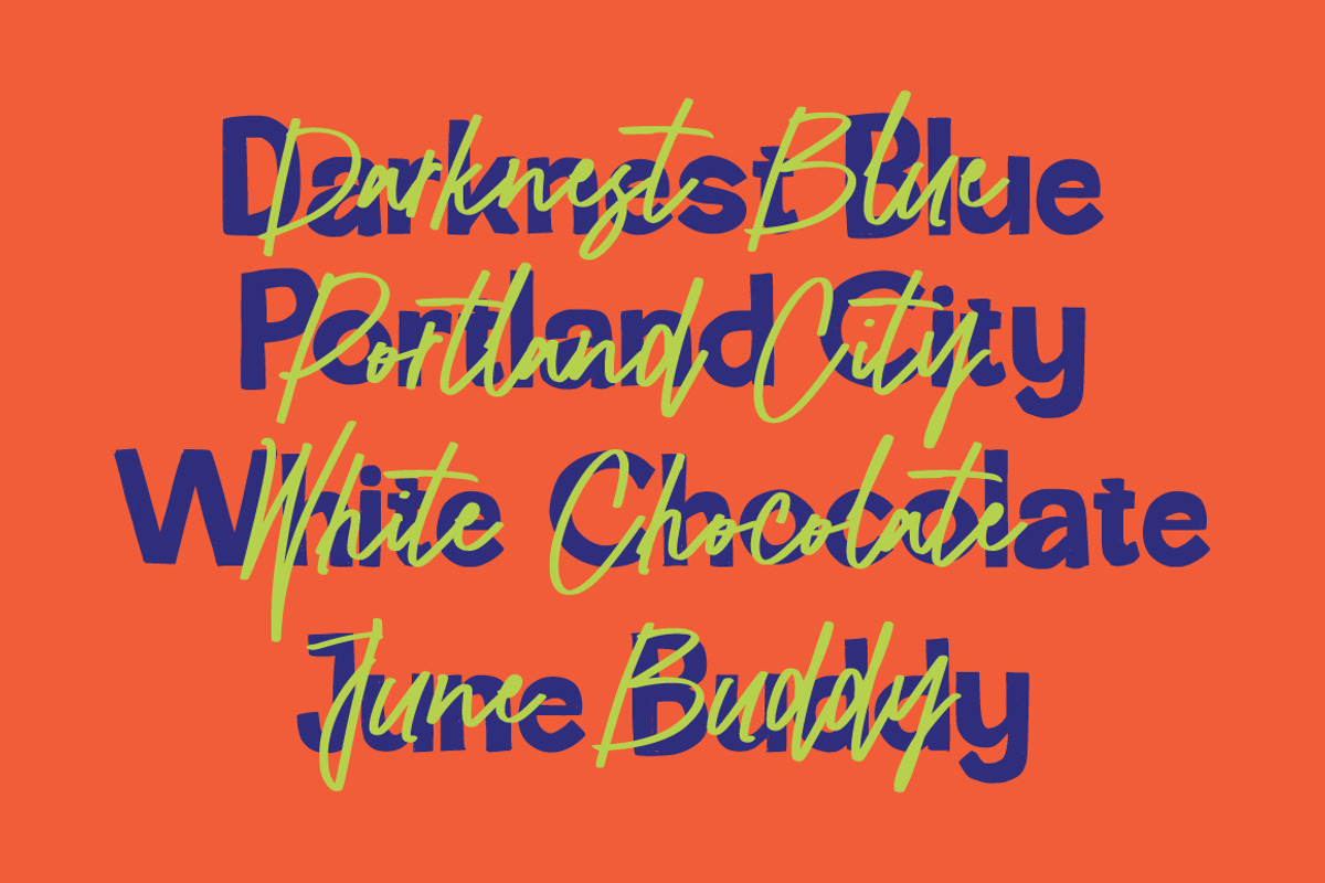 Delectus - Signature Font Duo, a Handwritten Font by tebaltipislab (Photo 2 of 15)