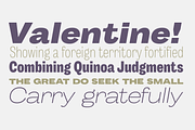 Body - 64 fonts, a Sans Serif Font by Zetafonts (Thumbnail 8 of 12)