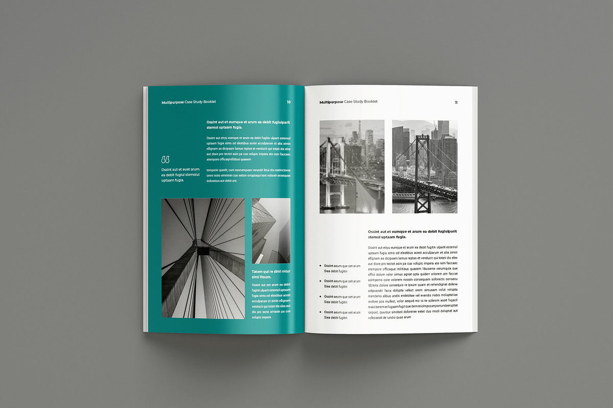 Case Study Booklet Template, a Brochure Template by Seeing-art (Photo 6 of 11)