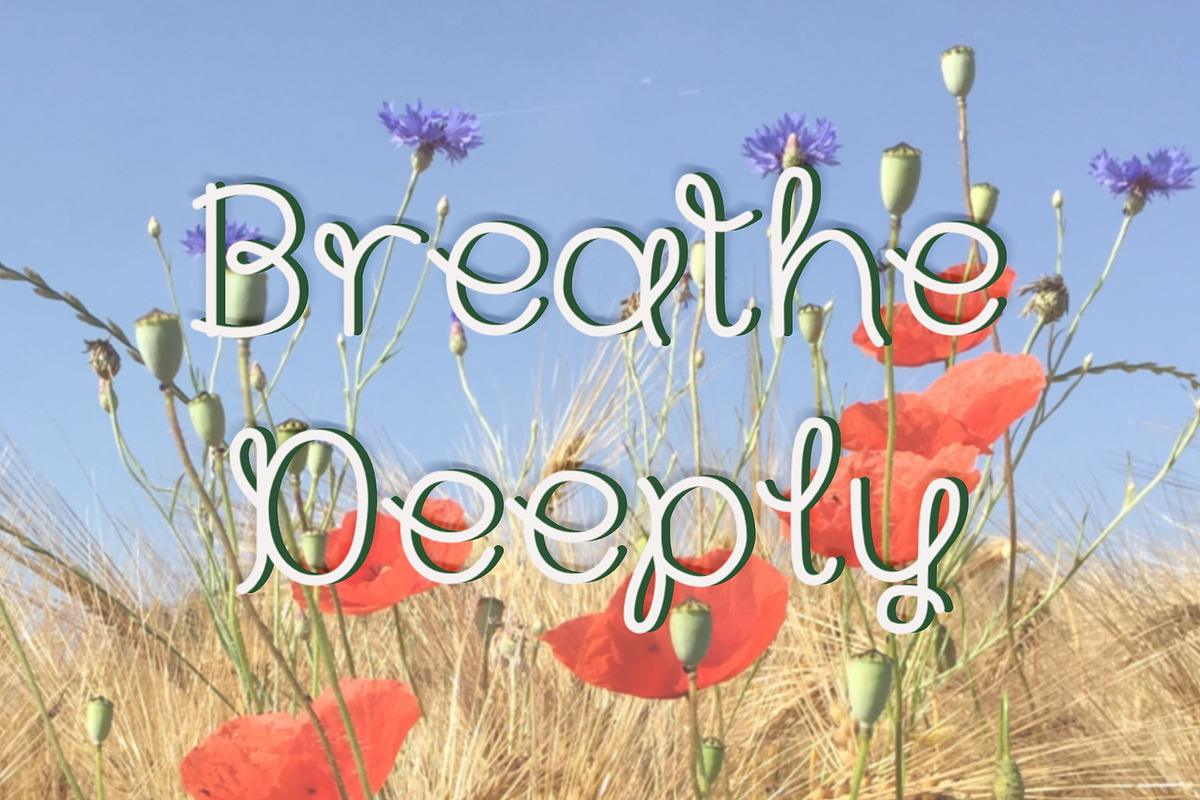 Loop handwritten monoline font, a Handwritten Font by Studio Alison Nolan