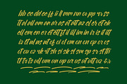 Royalett Santhun Bold Handwritten, a Script Font by Letterena Studios Script (Thumbnail 7 of 15)