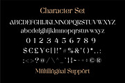 Darrell Rolando - Display Font, a Serif Font by Grezline Studio (Thumbnail 12 of 13)