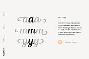 TT Polls, a Slab Serif Font by TypeType (Thumbnail 11 of 18)