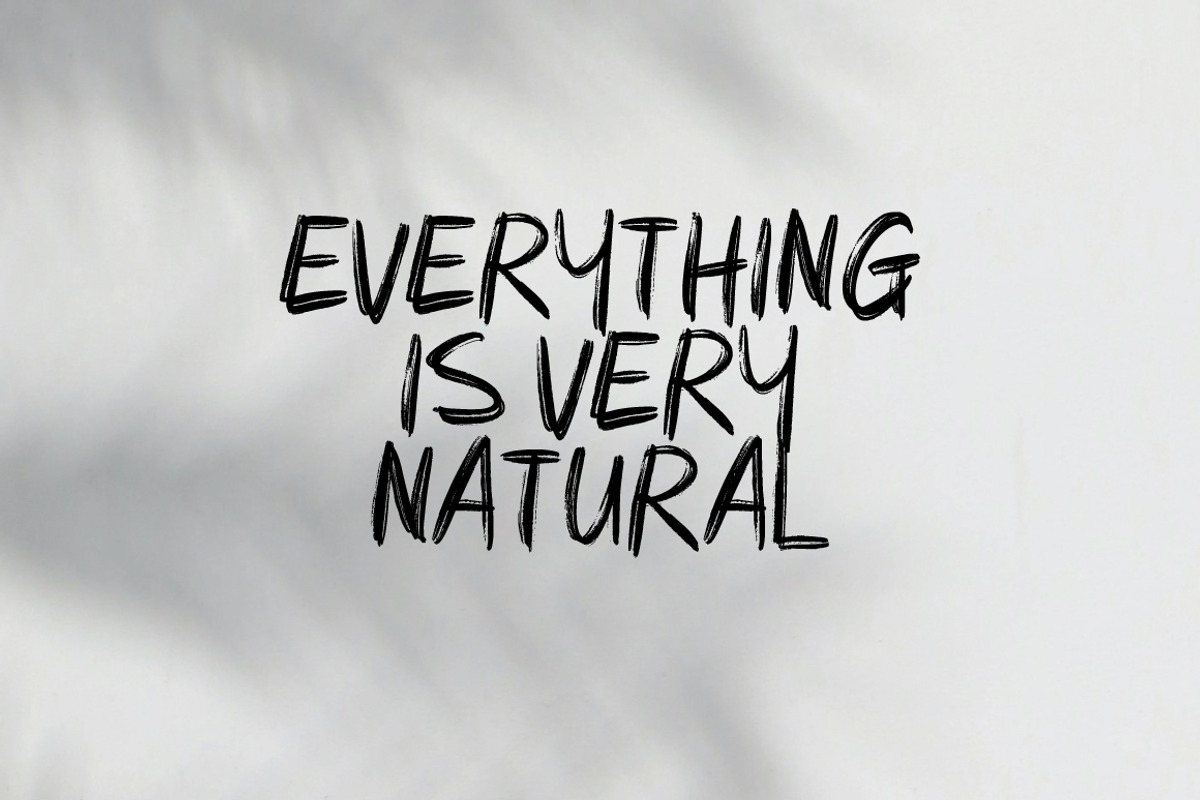 Nopase - Handwritten Brush, a Handwritten Font by tebaltipislab (Photo 3 of 9)