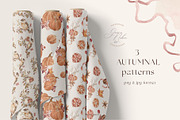 Fall Autumn set- Pumpkins & Florals, a Seasonal Illustration by Grace Noboa Illustrations (Thumbnail 10 of 13)