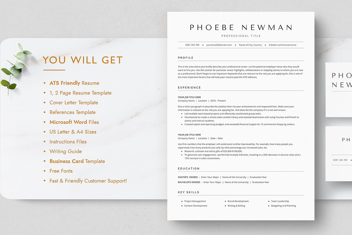 ATS Resume Template preview 8