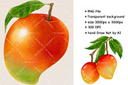 Watercolor Mango Fruit Clipart, a Food Illustration by Vavavan Artwork (Thumbnail 2 of 5)
