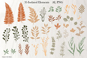 HERBARIUM. Vector set, a Pattern Graphic by Irina Skaska (Thumbnail 10 of 12)