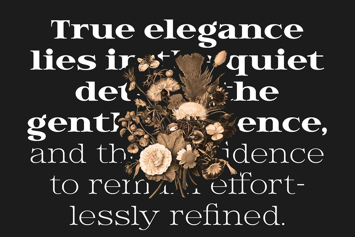 Hendry - Vintage Serif Family, a Serif Font by Novitype (Photo 3 of 12)