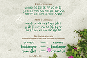 Seashell Paradise, a Handwritten Font by Letterhanna Studio (Thumbnail 11 of 15)