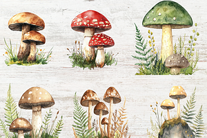 Watercolor Mushrooms Clipart Bundles