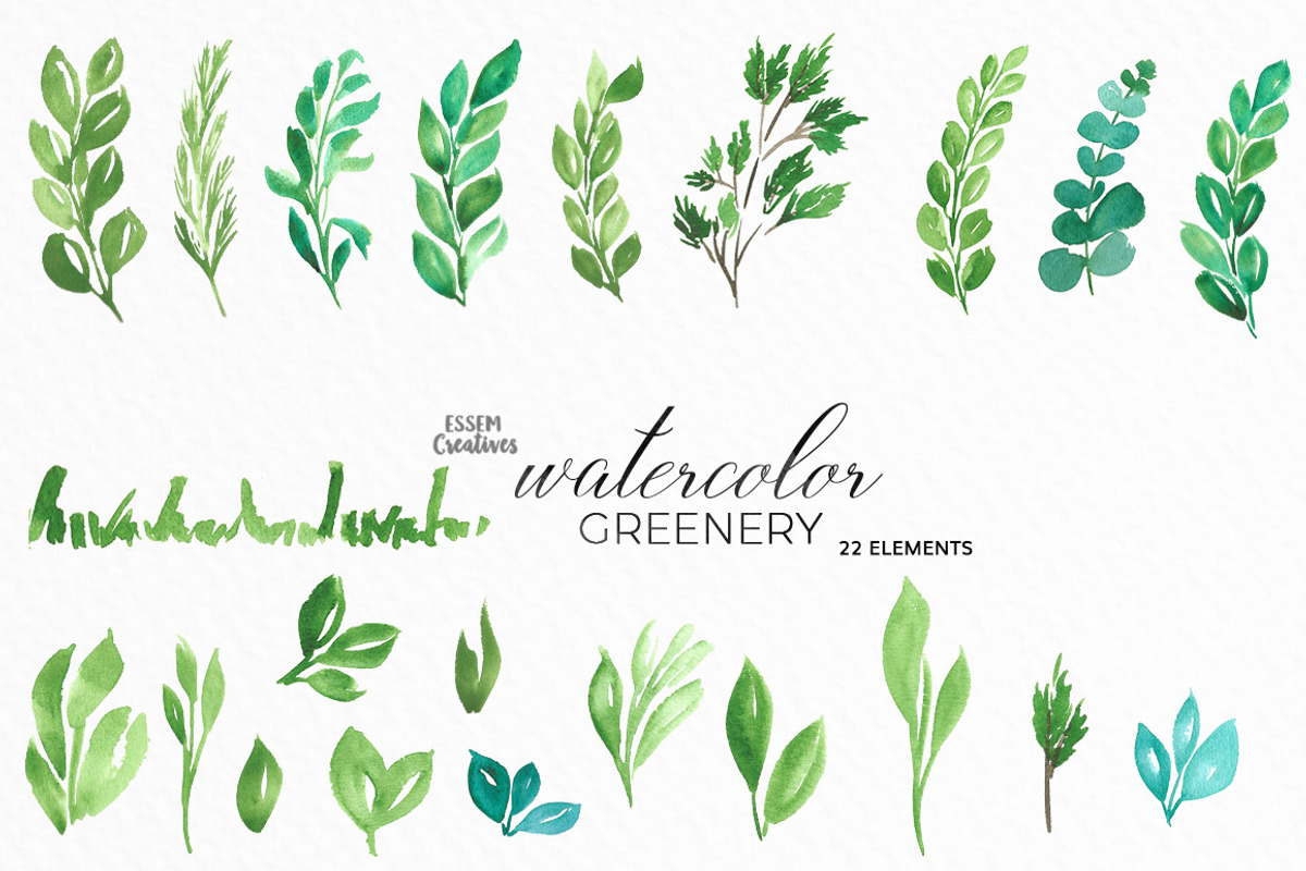 Watercolor Greenery Leaves Clipart, an Illustration by Essem Creatives (Photo 2 of 4)