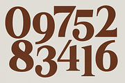 GC Neue Benfica – Classic Serif, a Sans Serif Font by Glyphonic (Thumbnail 11 of 15)