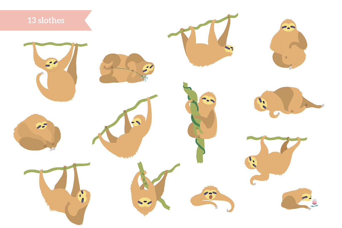Happy Sloth - clipart collection, an Animal Illustration by Pikovit (Photo 9 of 9)