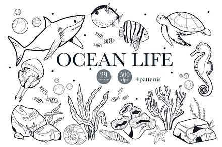 Ocean Life Animals Black and White, an Object Graphic by ArtGiftsStudio