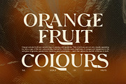 Corige Elegant Serif, a Serif Font by Elegant Font (Thumbnail 4 of 8)