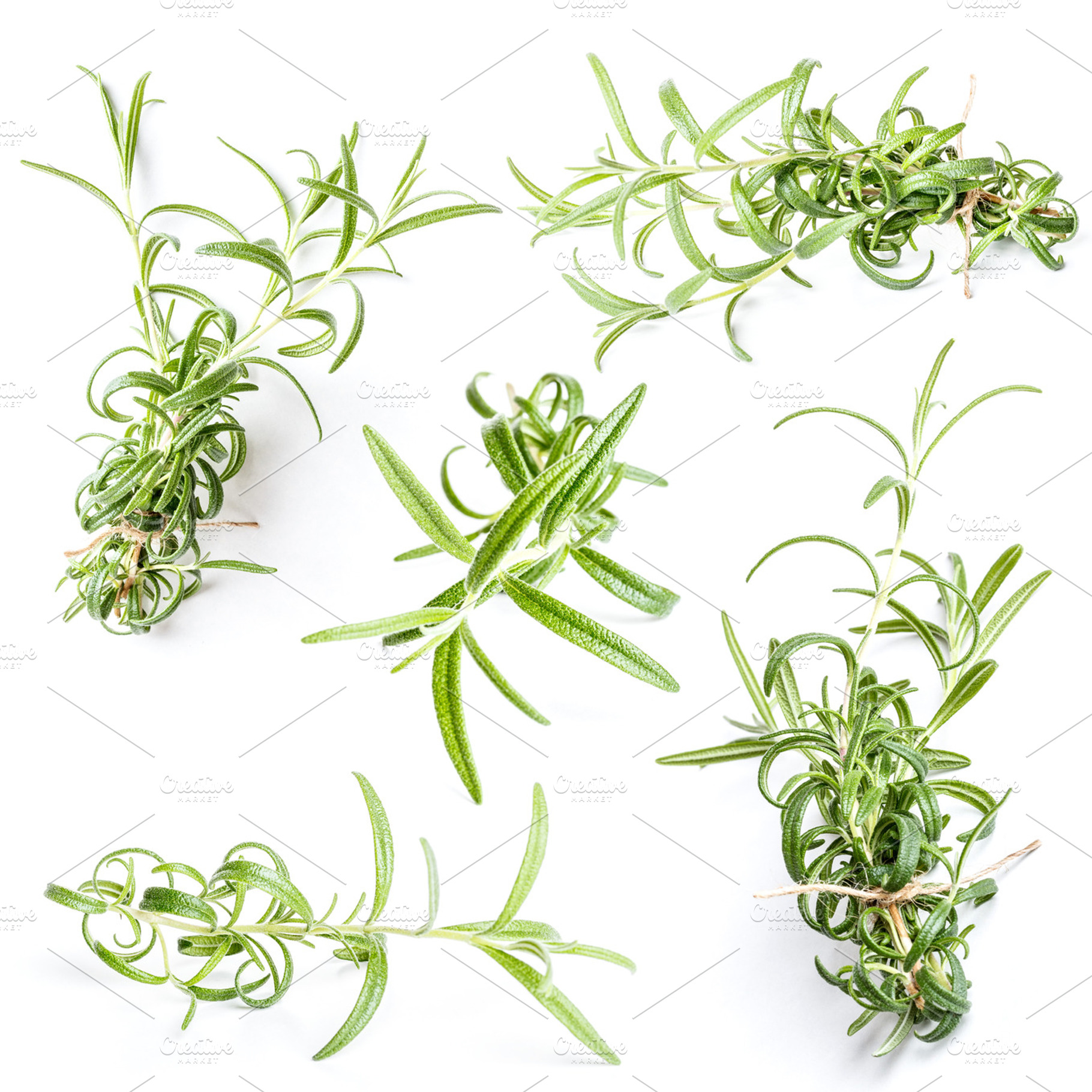 Rosemary Twigs