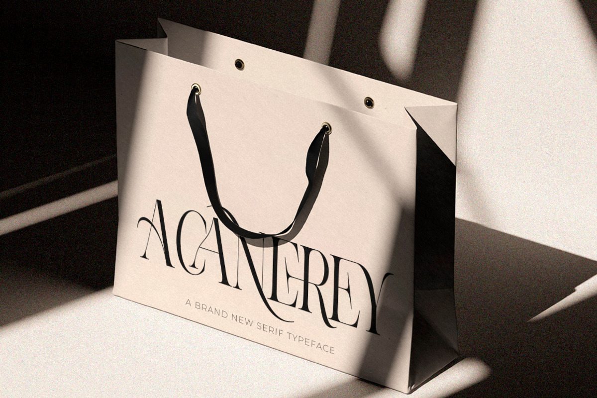 Aroney Family | 5 Style Fonts, a Serif Font by IM Studio (Photo 10 of 12)
