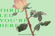 Faded Roses Watercolor, an Object Illustration by Volga_Store (Thumbnail 9 of 9)