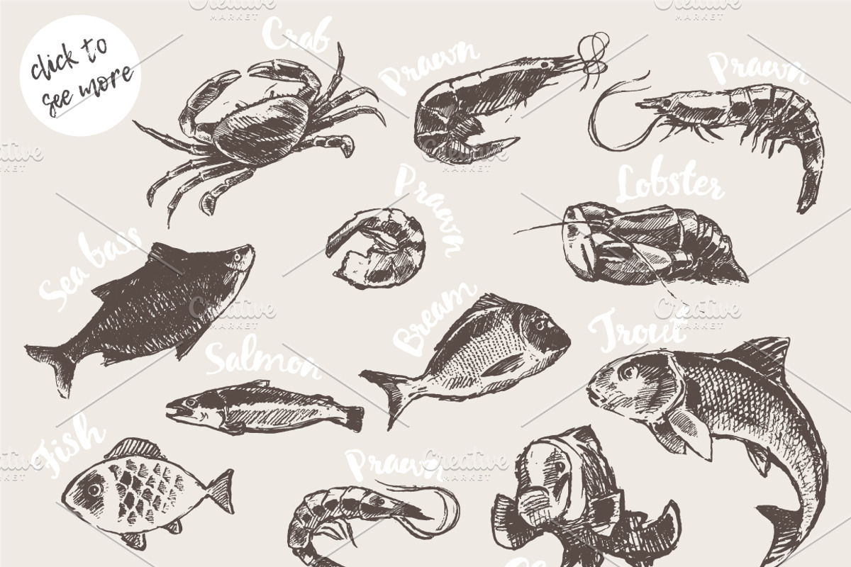 Set of hand drawn seafood and fish, a Food Illustration by TheMountBirdStudio (Photo 2 of 2)