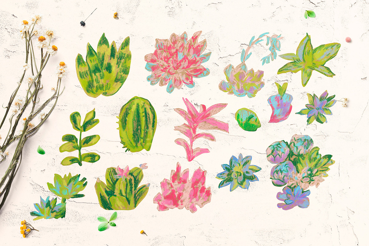 Kids Crayon Succulent Clipart, a Healthcare Illustration by Lucyinyourheart (Photo 4 of 6)