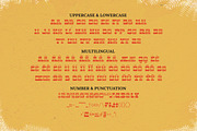 The Big - Serif Display Font, a Slab Serif Font by Fype Co. (Thumbnail 5 of 5)