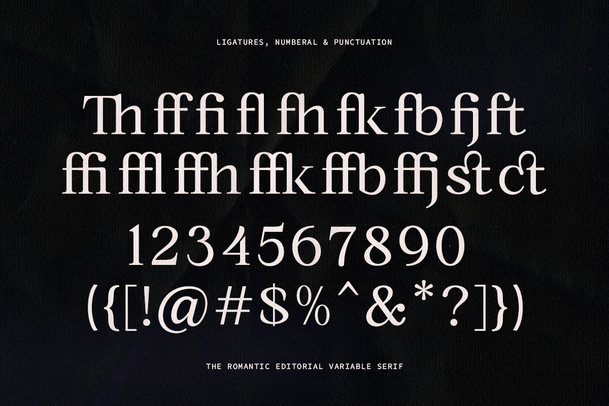 The Romantic Editorial | 18 Fonts, a Serif Font by Skinny Type (Photo 13 of 13)