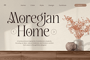 Amarisa - Luxury Editorial Font, a Serif Font by Sensatype (Thumbnail 5 of 12)