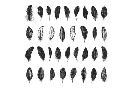 Vintage Black Fluffy Feathers Set, an Illustration by LadadikArt