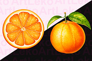 Oranges Watercolor Clipart, a Food Illustration by LekoArt (Thumbnail 2 of 10)