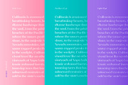 Nearo Rounded, a Sans Serif Font by Digitype Studio (Thumbnail 3 of 10)