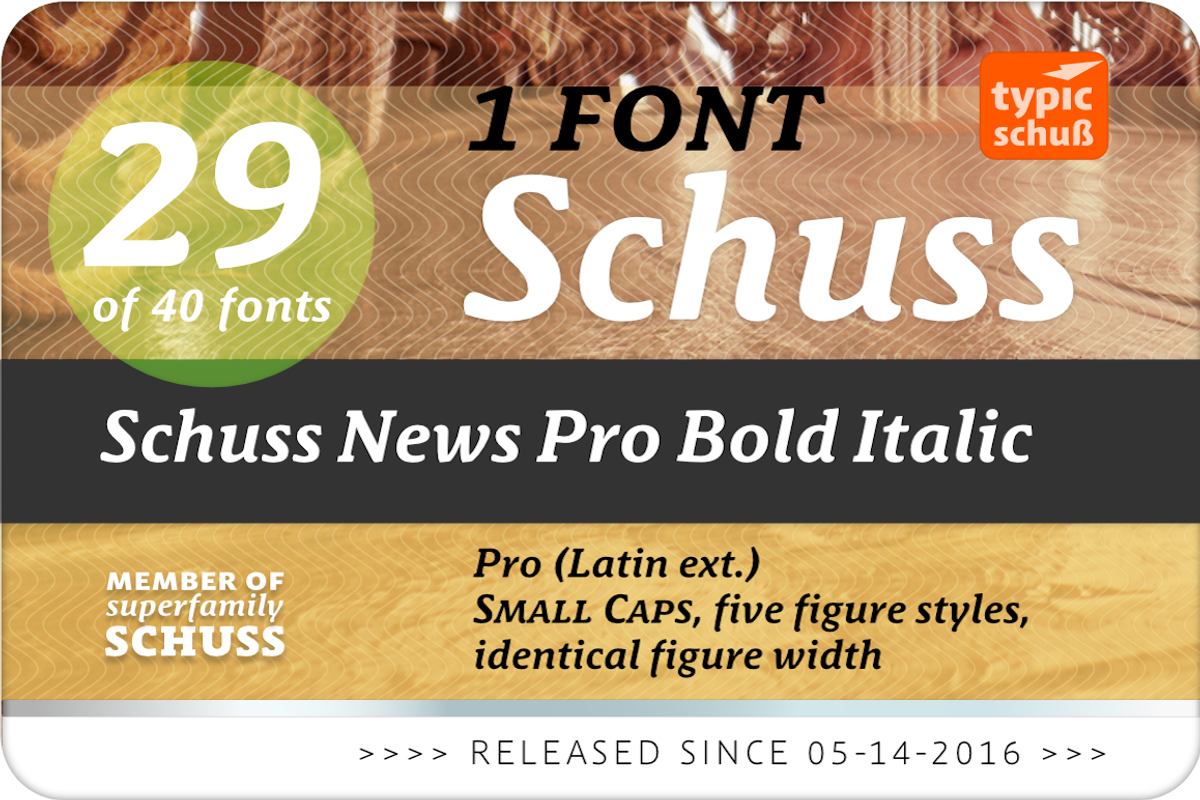 SchussNewsProBoldIta No.29 (1 Font) preview 2