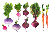 Food watercolor. Vegetables, a Food Illustration by irina.vaneeva (Thumbnail 24 of 25)