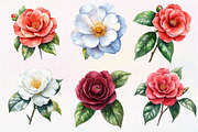 Camellia Flower Bloom Clipart, an Illustration by Dream Creation (Thumbnail 3 of 6)