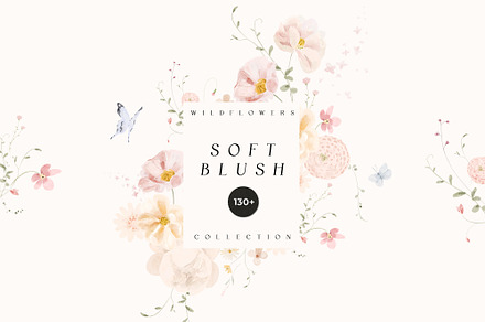 SOFT BLUSH Spring Wildflowers, a Decorative Illustration by Lana Elanor