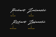 Xenasign Font, a Script Font by nIznaztype (Thumbnail 3 of 6)