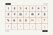 Rigidon Mono Serif Monospace Font, a Serif Font by Rasio Studio (Thumbnail 3 of 9)