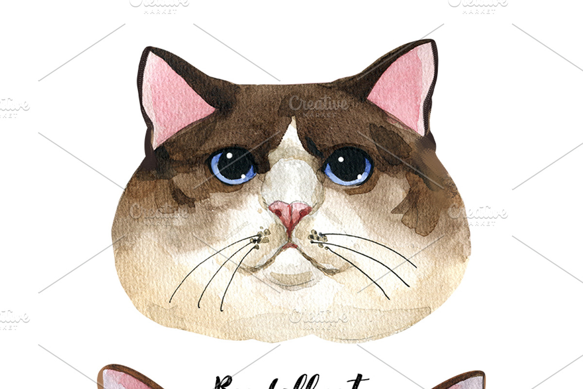 Breeds of cats - watercolor. Part 1, an Animal Illustration by KatBranchArt (Photo 2 of 5)