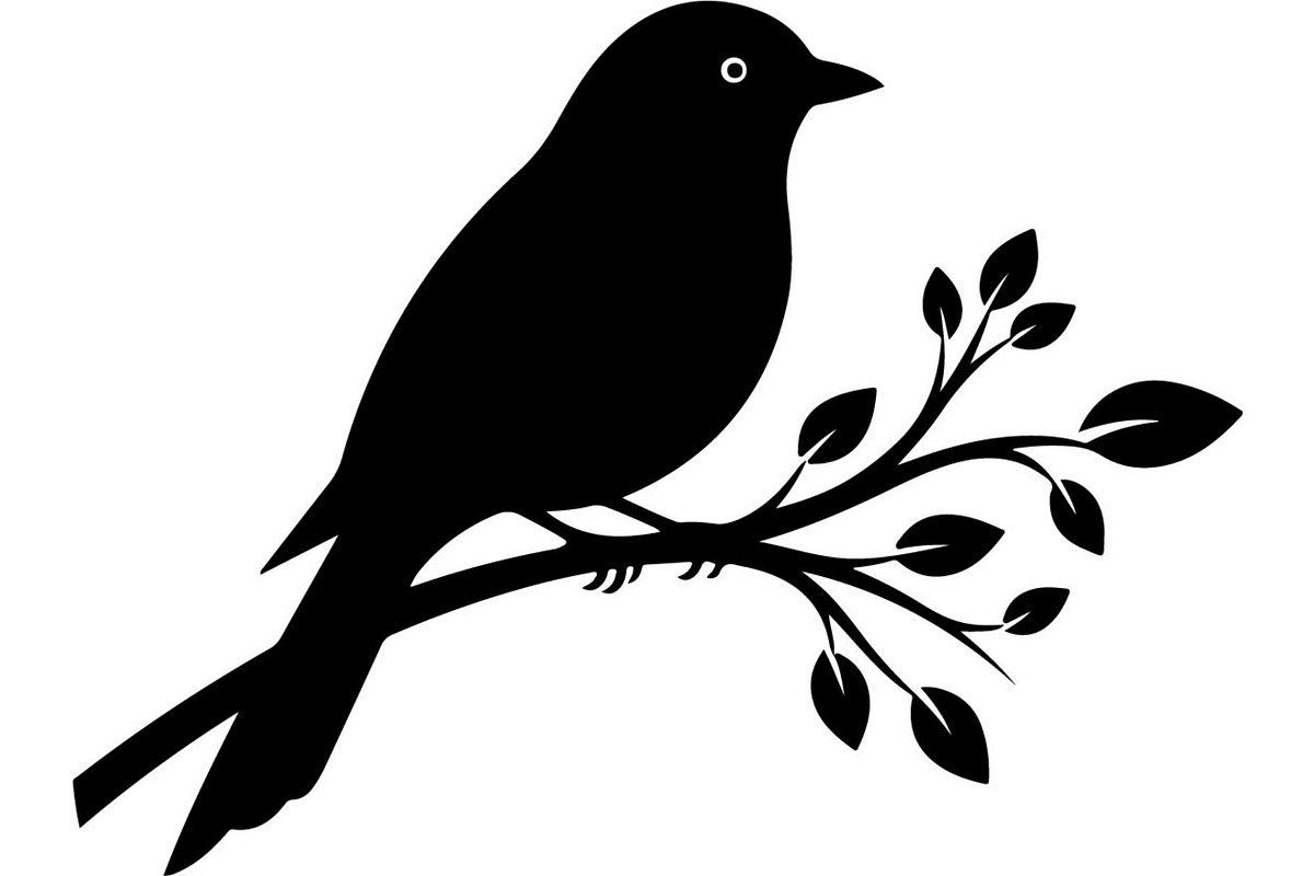 Birds on Branch Vector Collection, an Illustration by Designer_Momina (Photo 16 of 21)