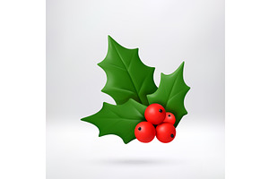 3d cartoon glossy green holly leaf, an Object Illustration by Abscent