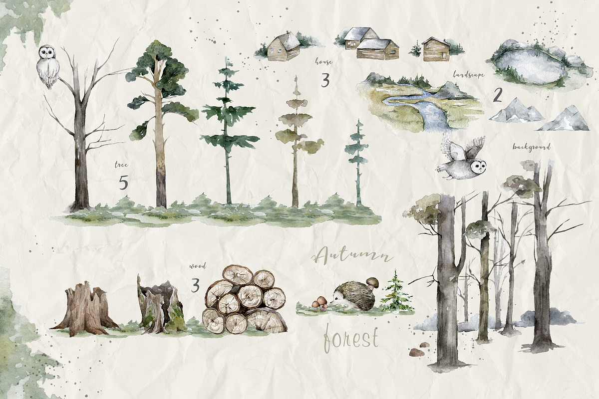Fall in Forest Autumn Mood, an Animal Illustration by Ann Art Houze (Photo 3 of 22)